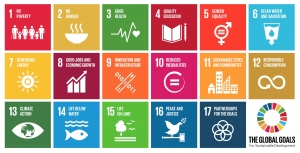 Obiettivi di sviluppo sostenibile